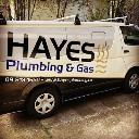 Hayes Plumbing and Gas logo